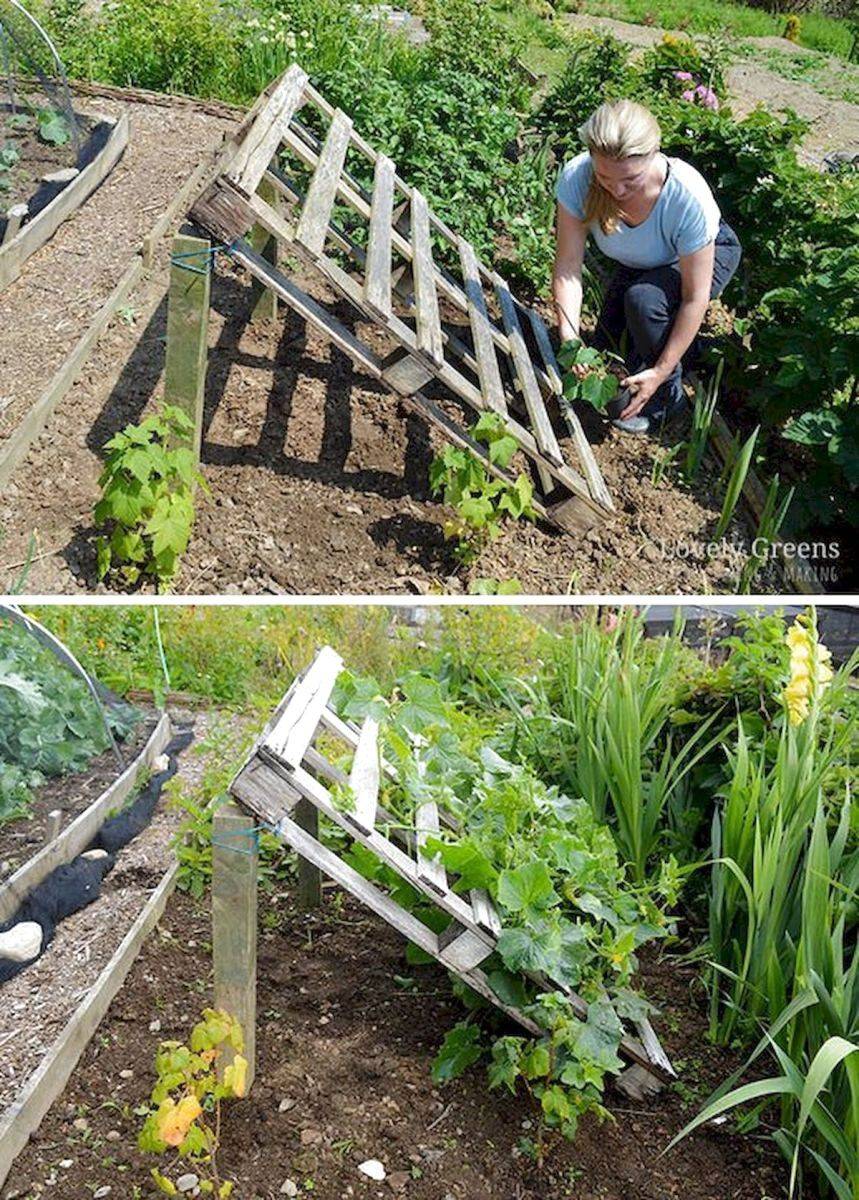 22 Pallet Vegetable Garden Layout Ideas For This Year SharonSable