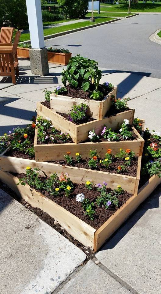 22 Pallet Vegetable Garden Layout Ideas For This Year SharonSable