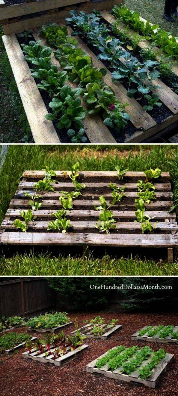 22 Pallet Vegetable Garden Layout Ideas For This Year SharonSable