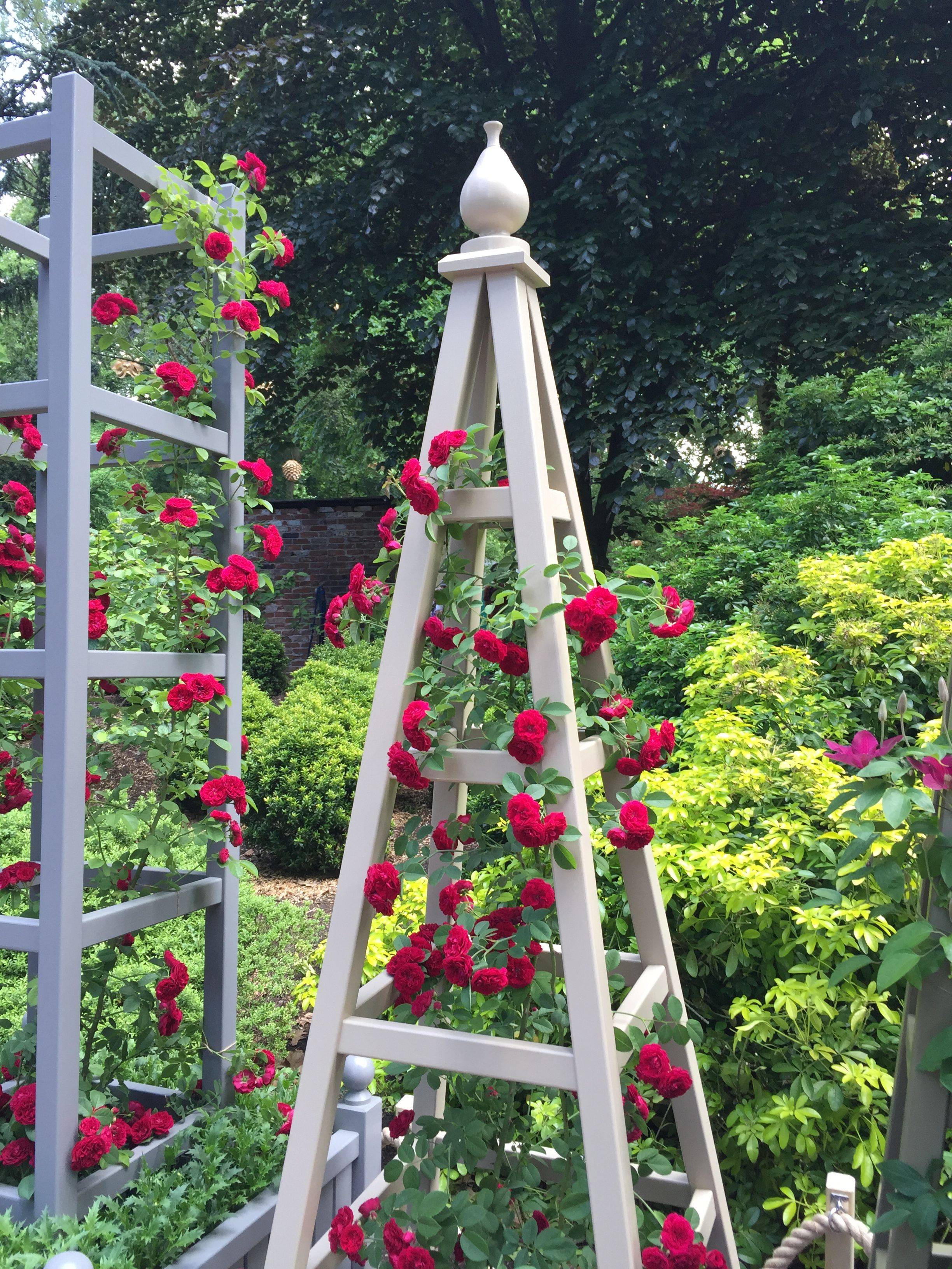 Willow Obelisk Planter Diy Garden Trellis