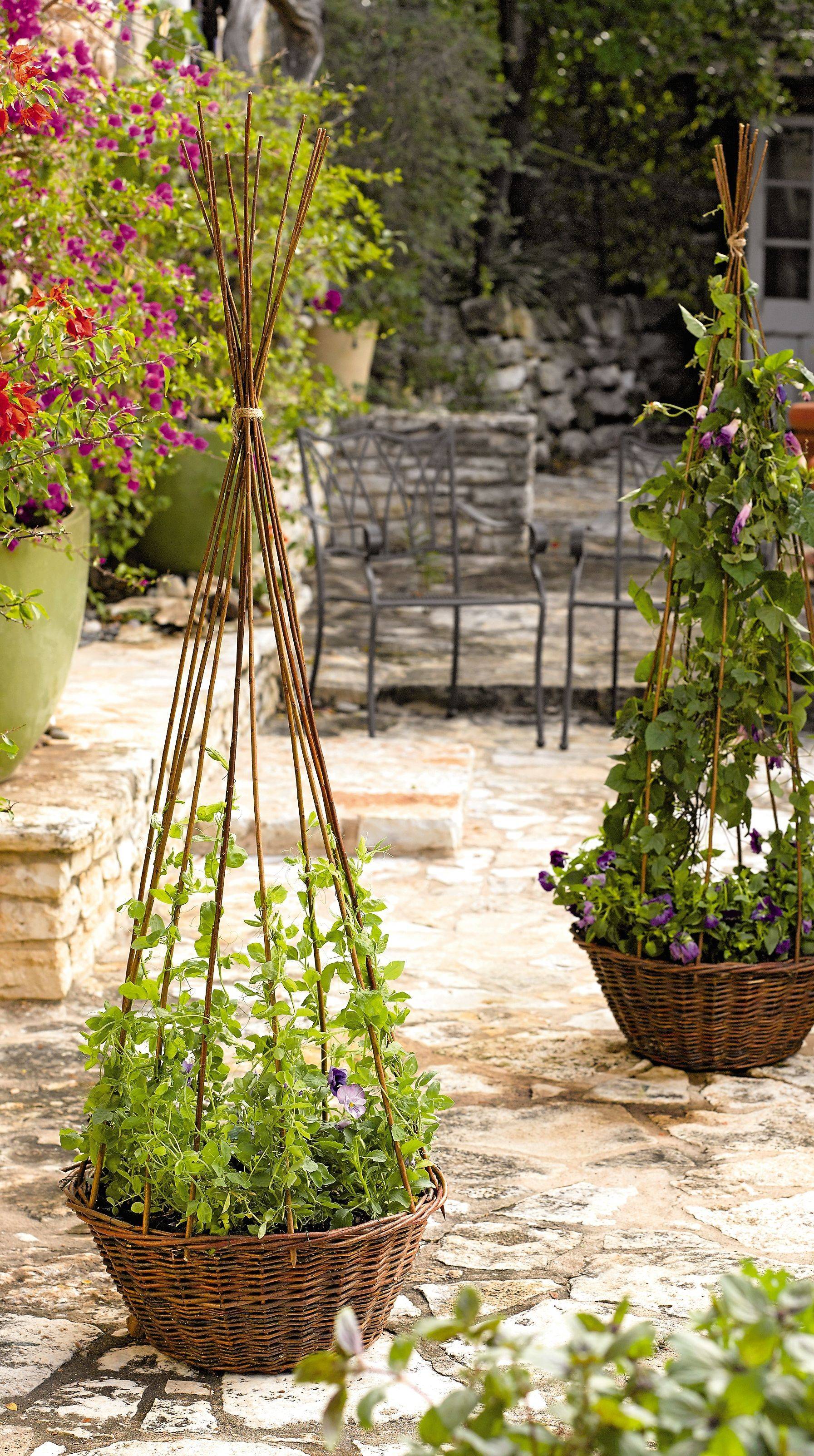 Wooden Obelisk Garden Kits