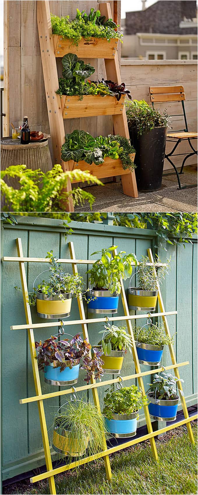 Your Very Own Rooftop Garden