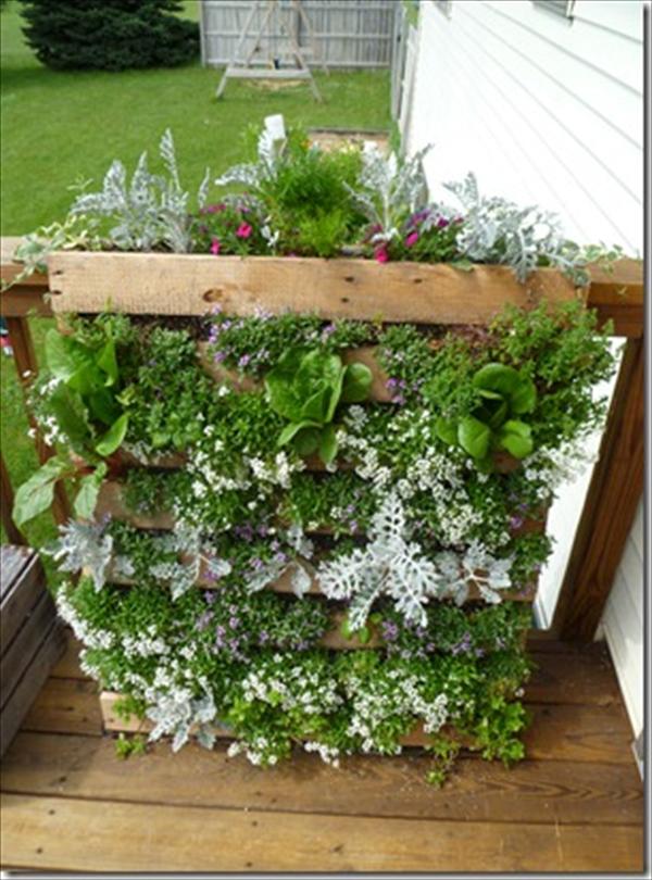 Top Diy Vertical Garden Ideas