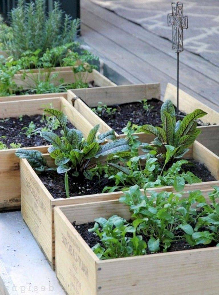 Gorgeous Small Vegetable Garden Ideas