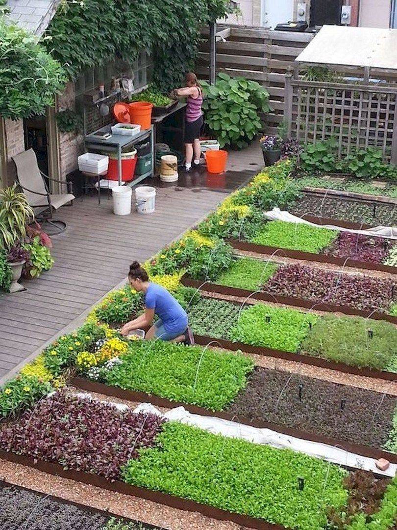 Most Productive Small Vegetable Garden Ideas