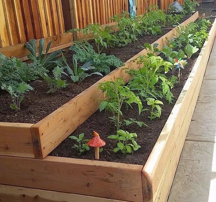 Vegetable Gardening