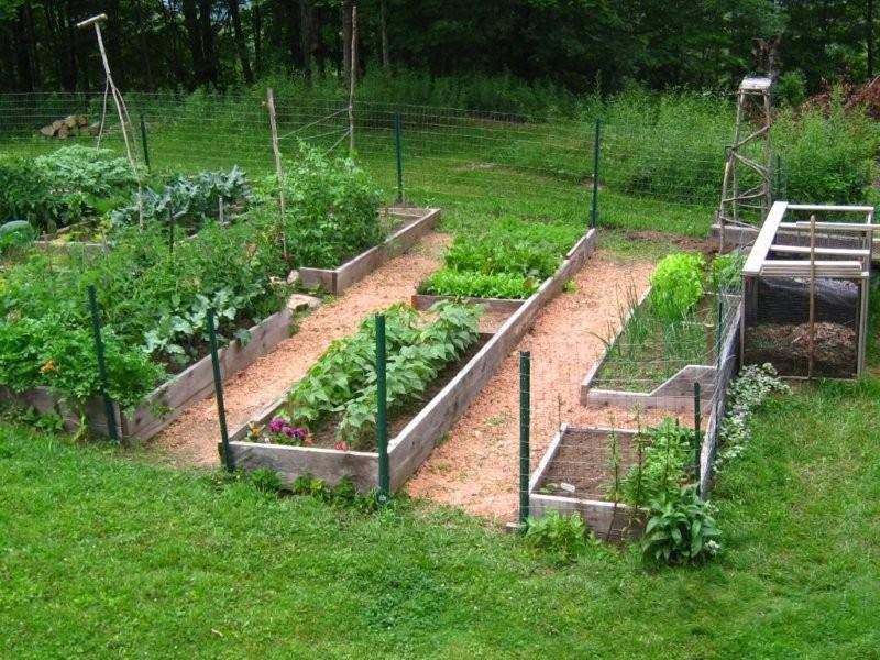 Affordable Backyard Ve Able Garden Designs