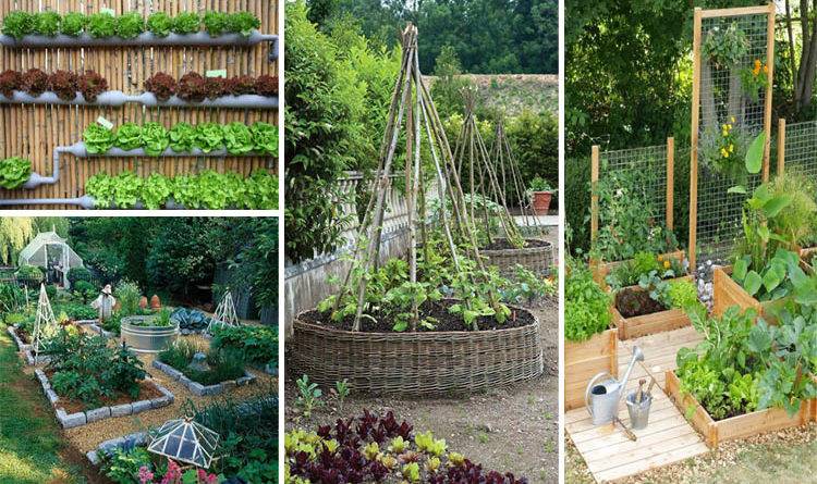 Vegetable Garden Landscaping Food Fruit