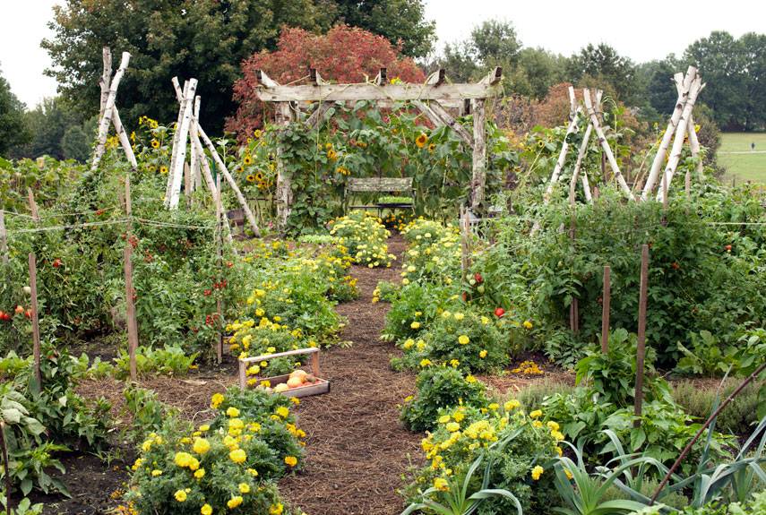 Inspiring Vegetable Garden Design Ideas