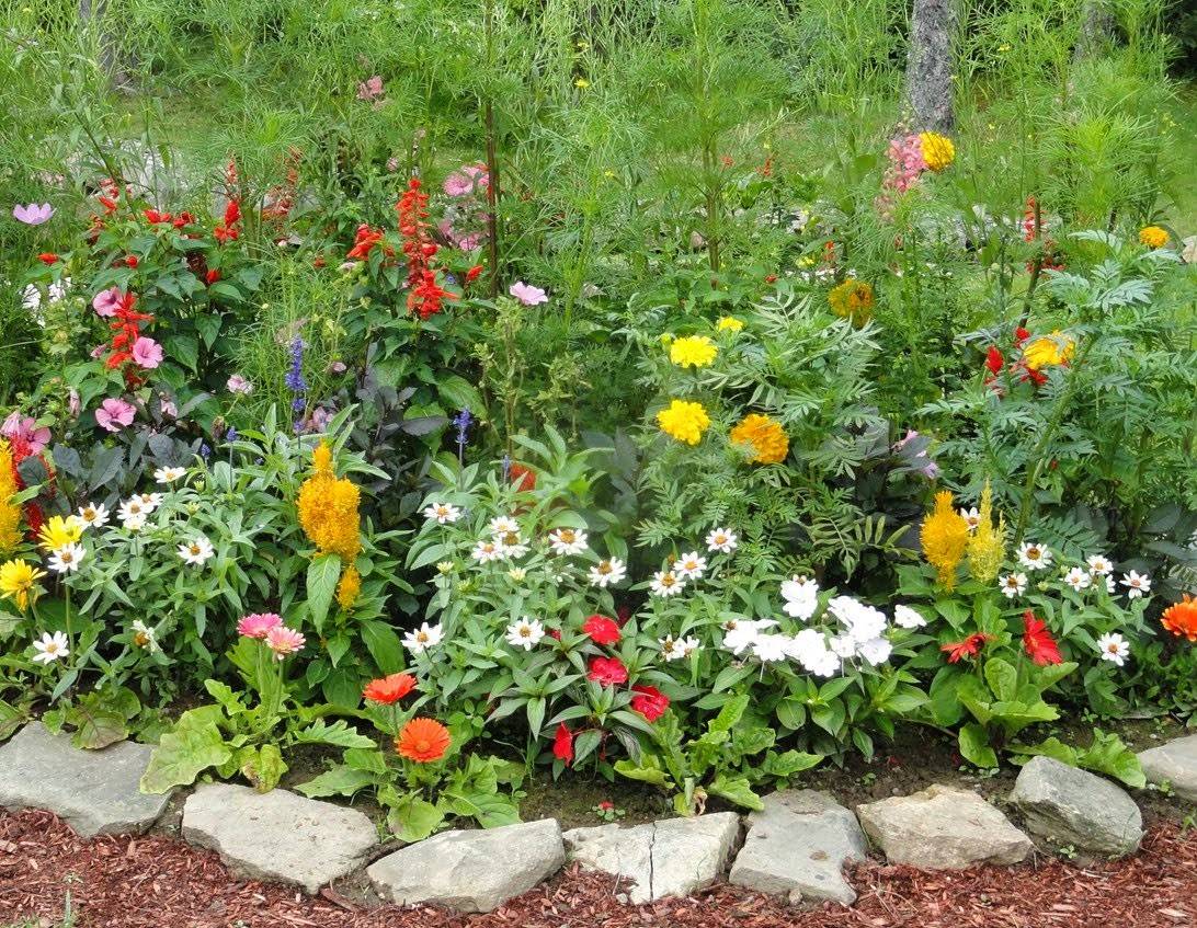 A Vegetable And Flower Garden Idea