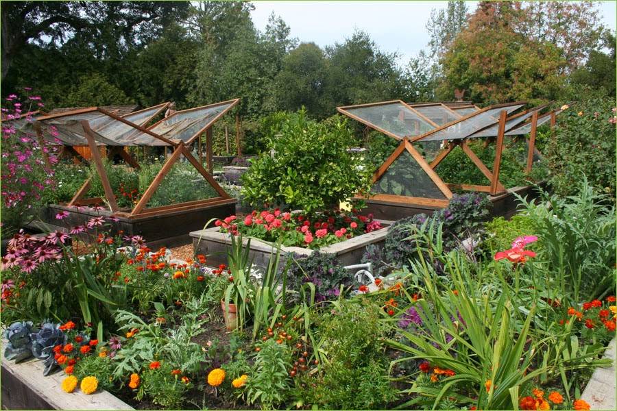 Home Gardening Flowers And Vegetables Ideas Freshnist Design