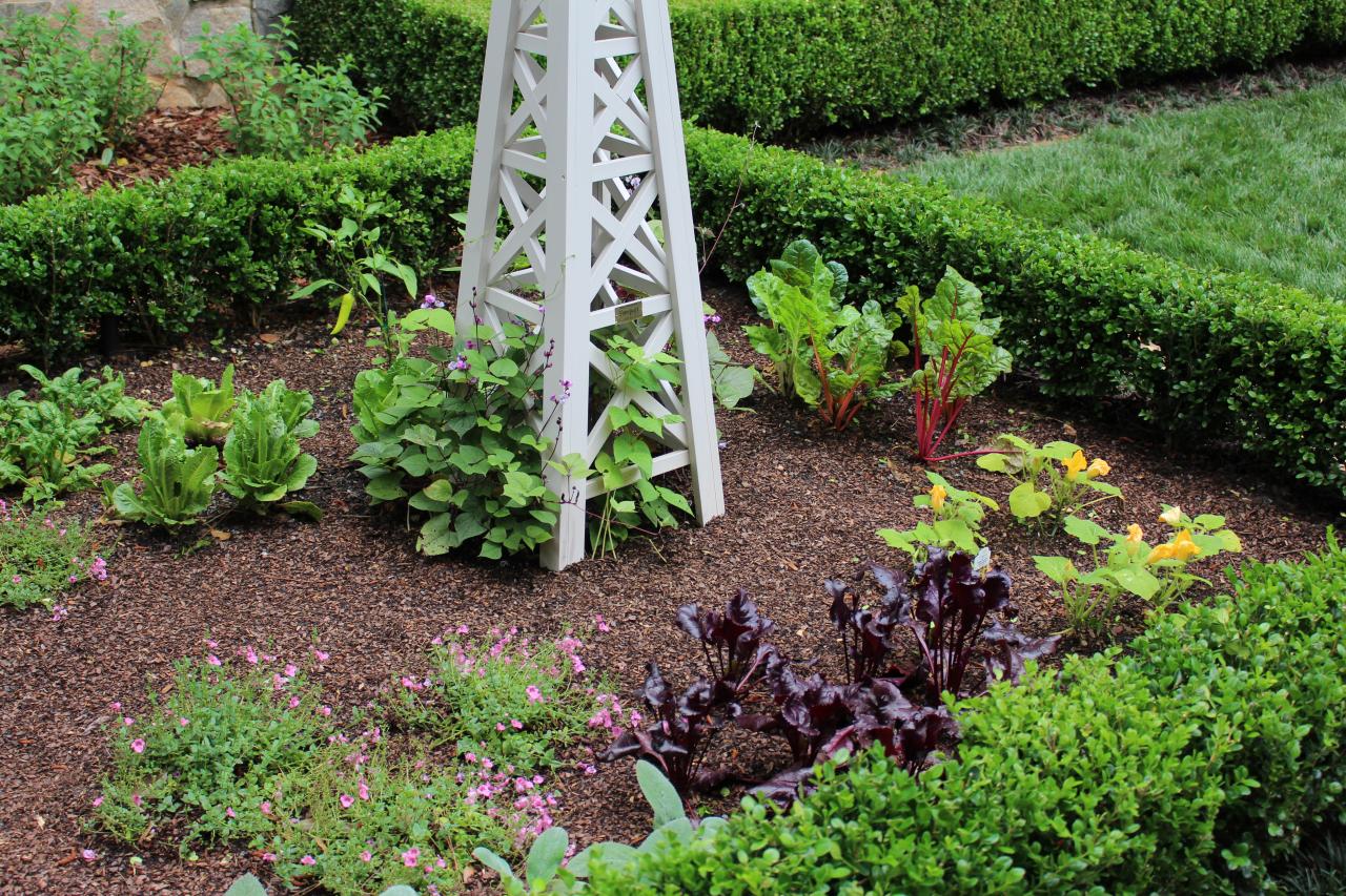 Small Vegetable Garden Design Ideas