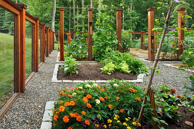Vegetable Garden Layout