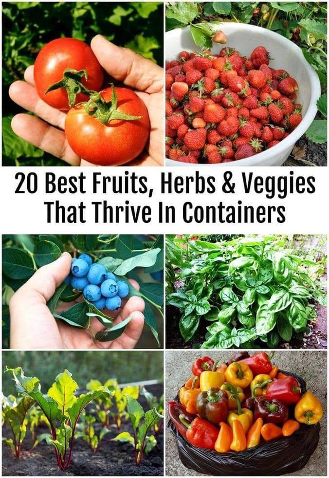 Interesting Fresh Ideas