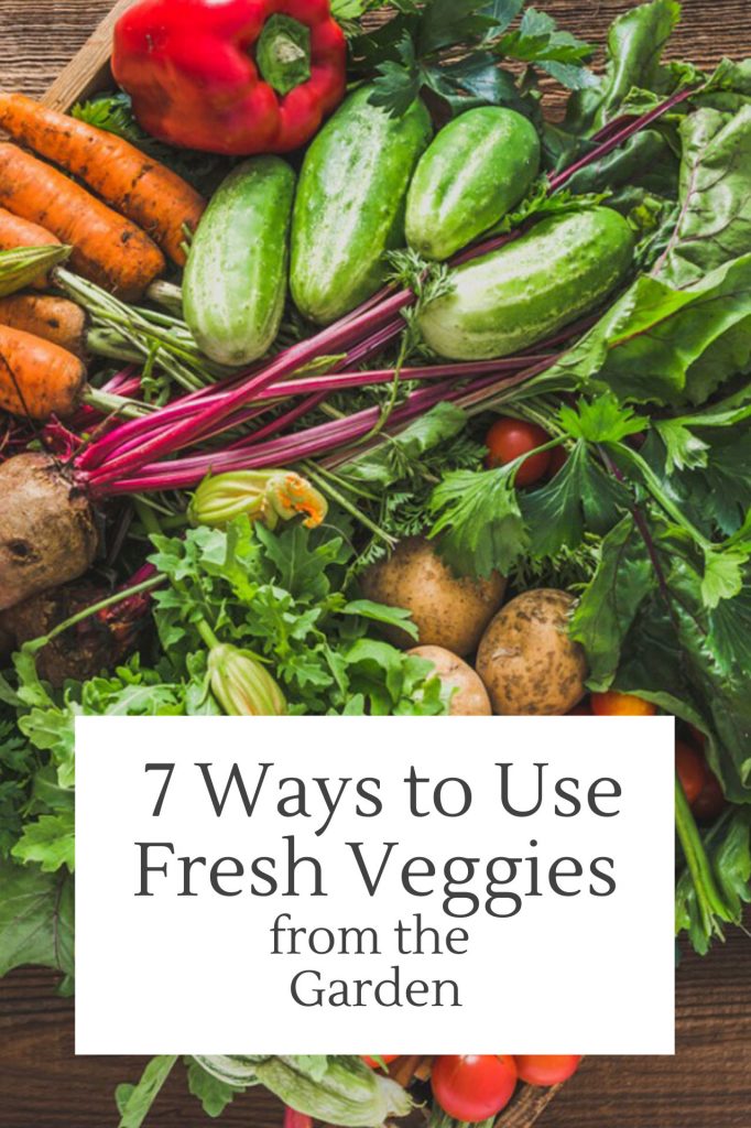 A Continuously Productive Vegetable Garden
