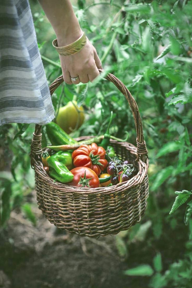 Easy Vegetable Recipes My Easy Cooking