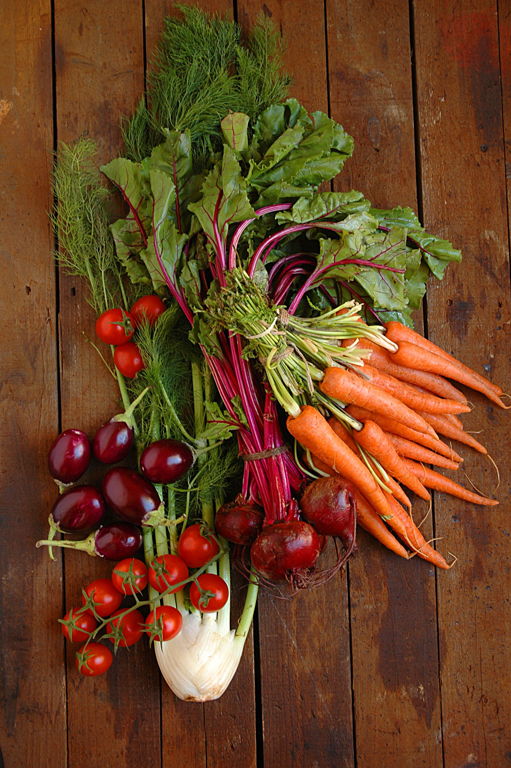 Your Fall Vegetable Garden