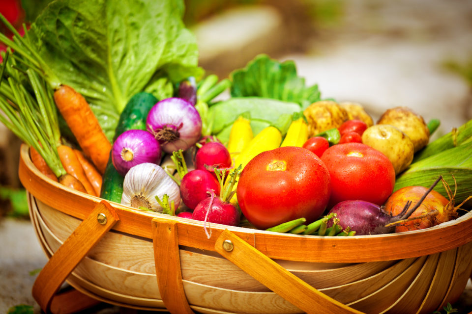 Kathys Home Garden Tips