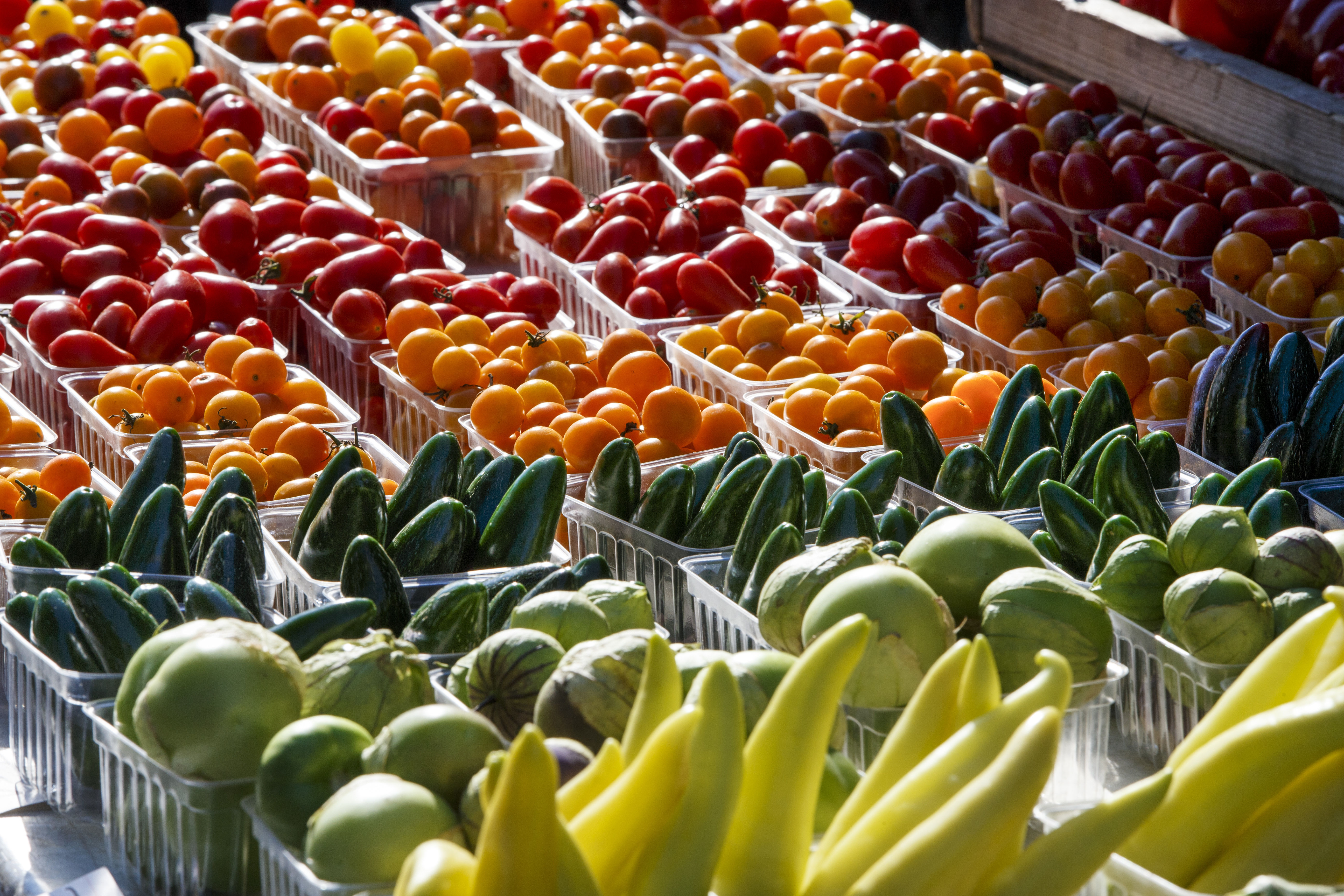 Vegetable Gardens