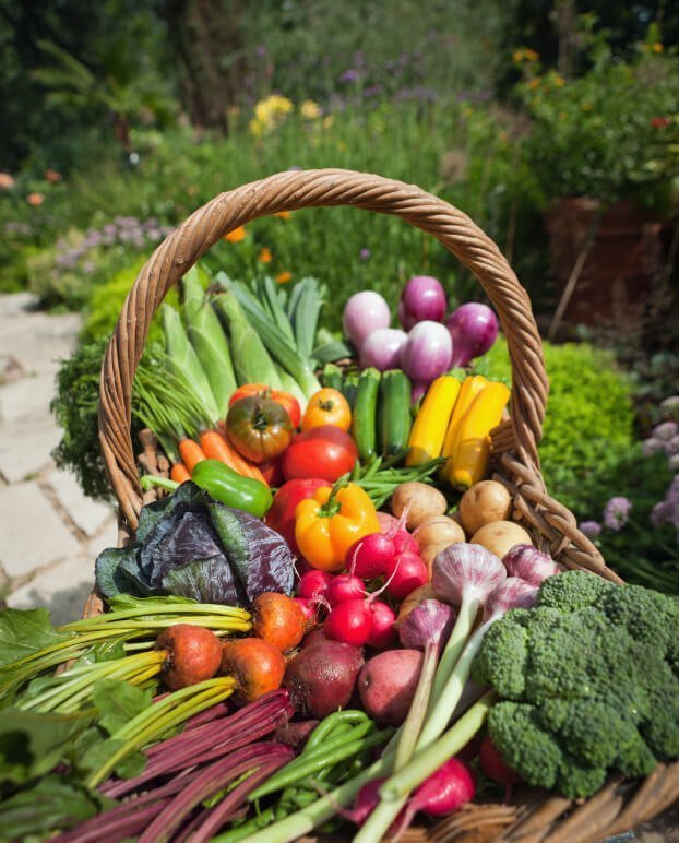 Your Grocery Bill