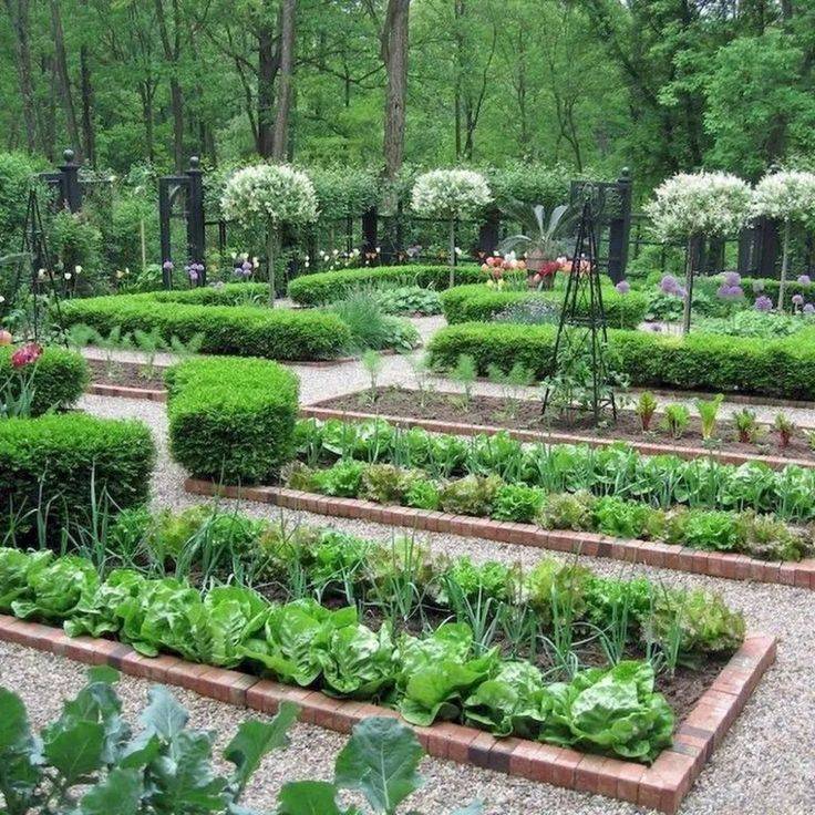 Herb Vegetable Garden Ideas Yard Surfer