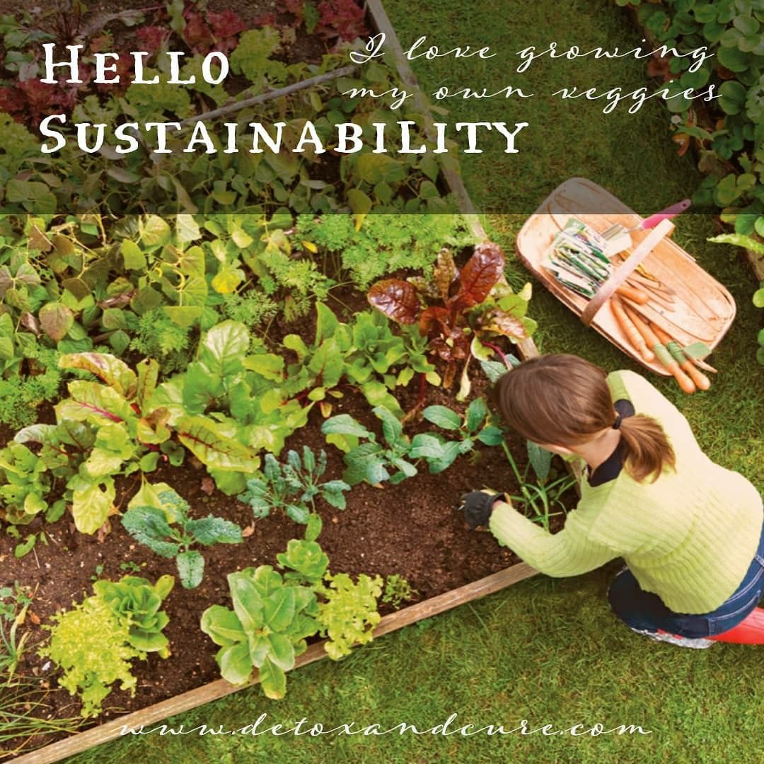 Vegetable Gardening Tips