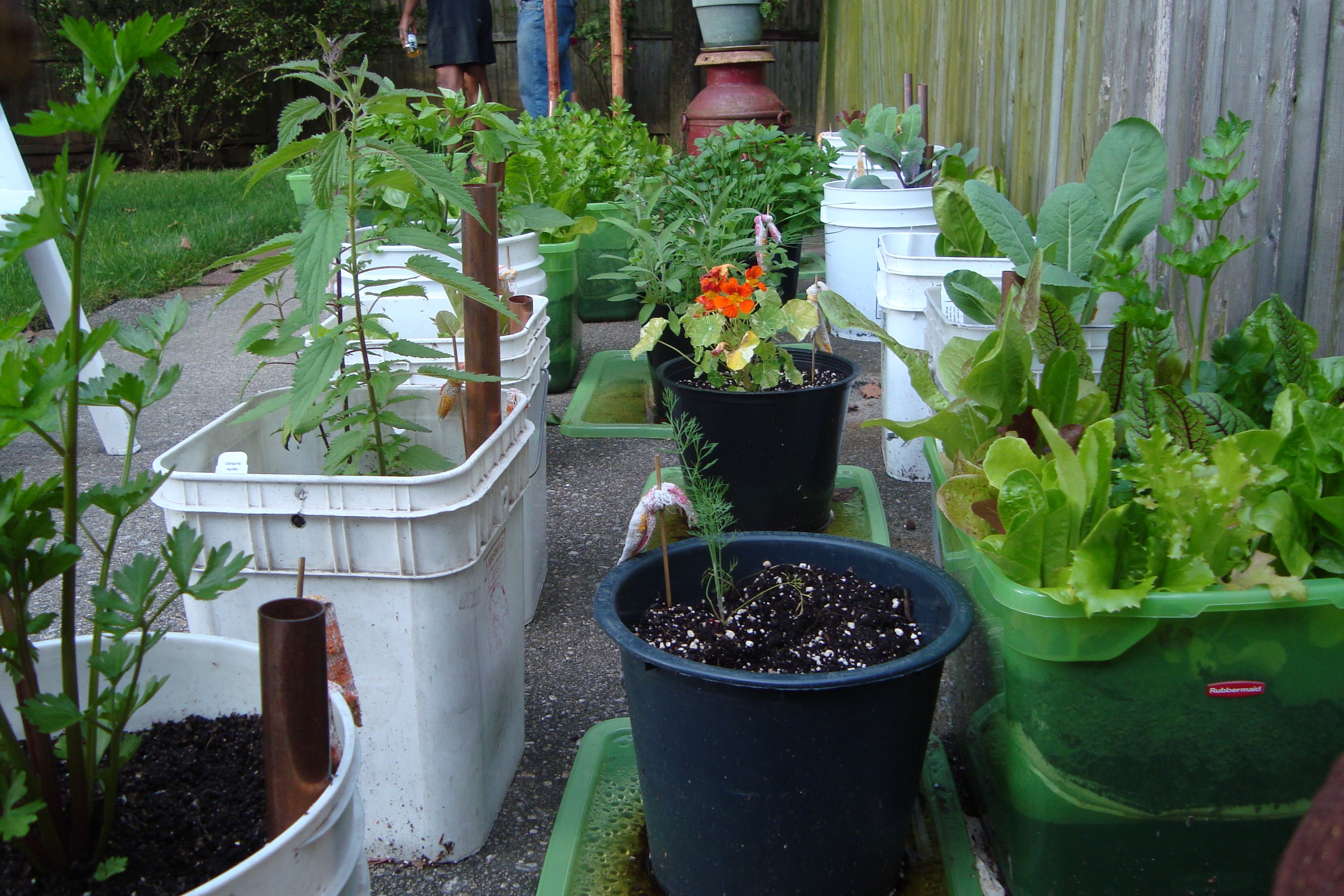 Container Gardening Idea