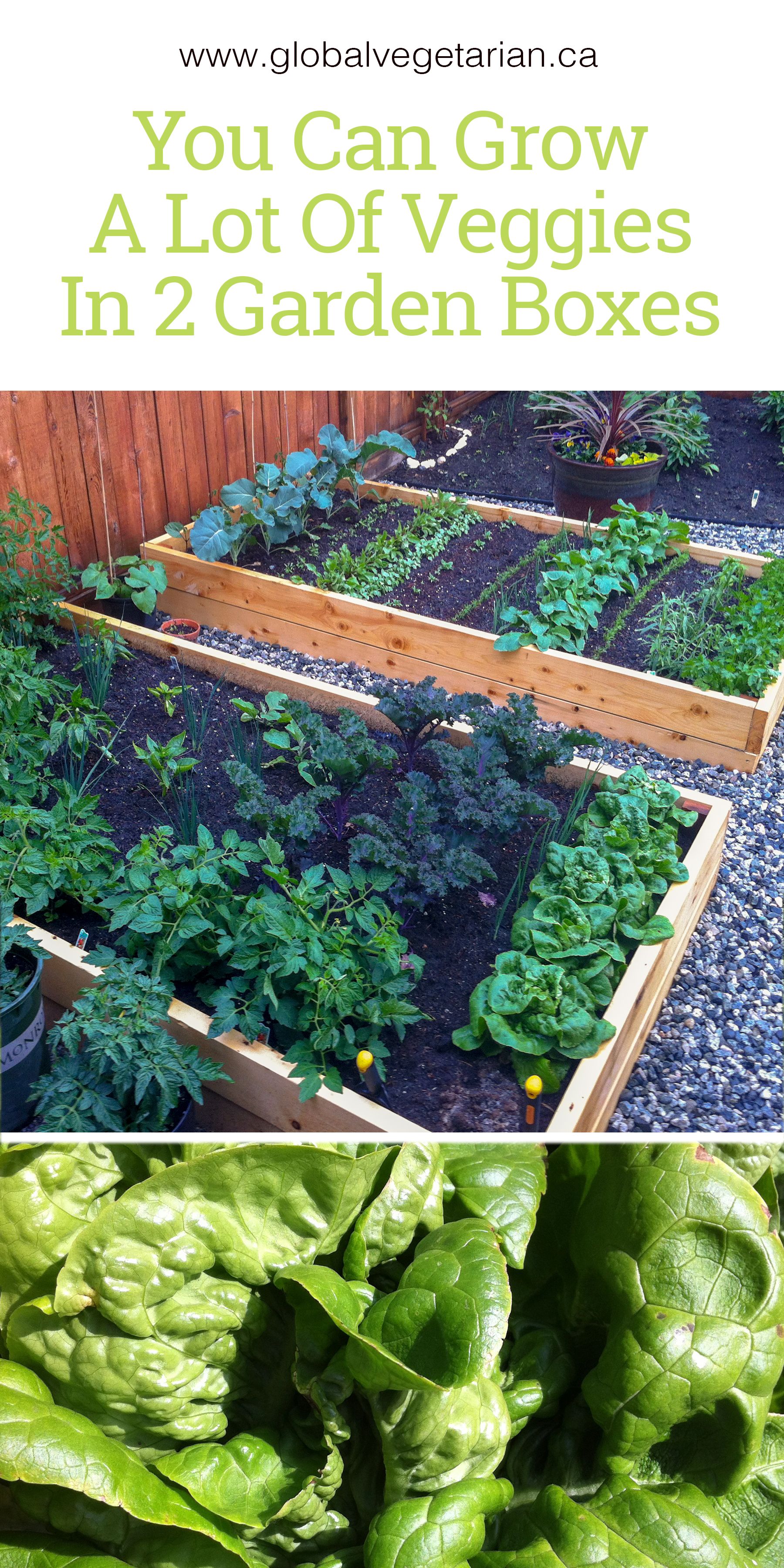 Your Own Vegetable Garden