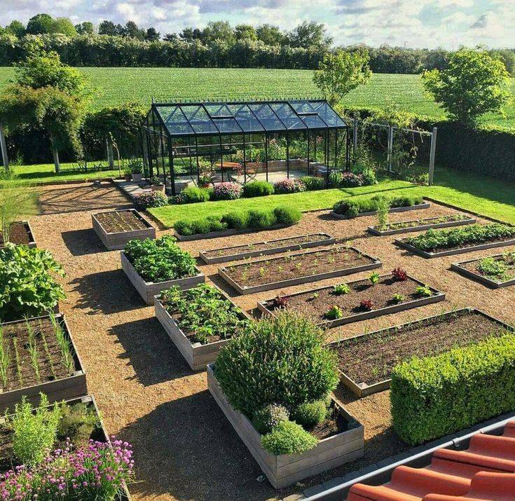 Beauty Potager Garden Design Ideas