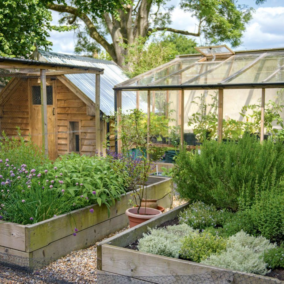 Vegetable Garden Design