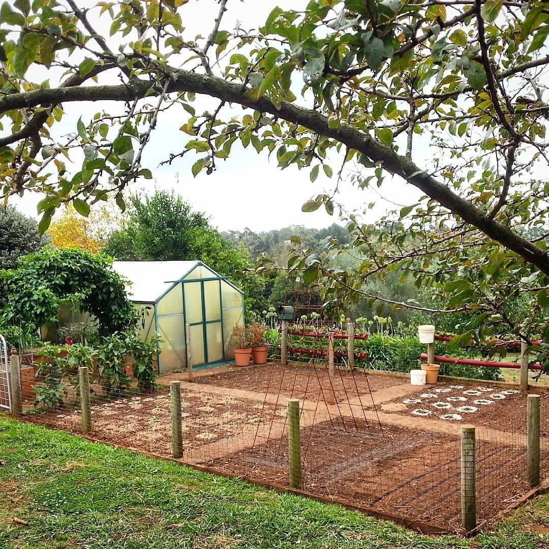 The Greenhouse
