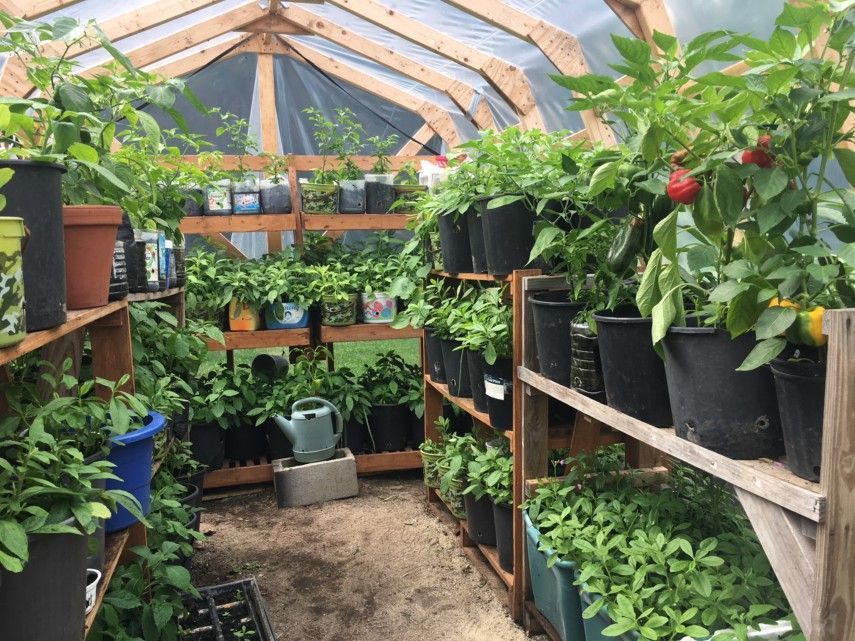 D Mini Greenhouse