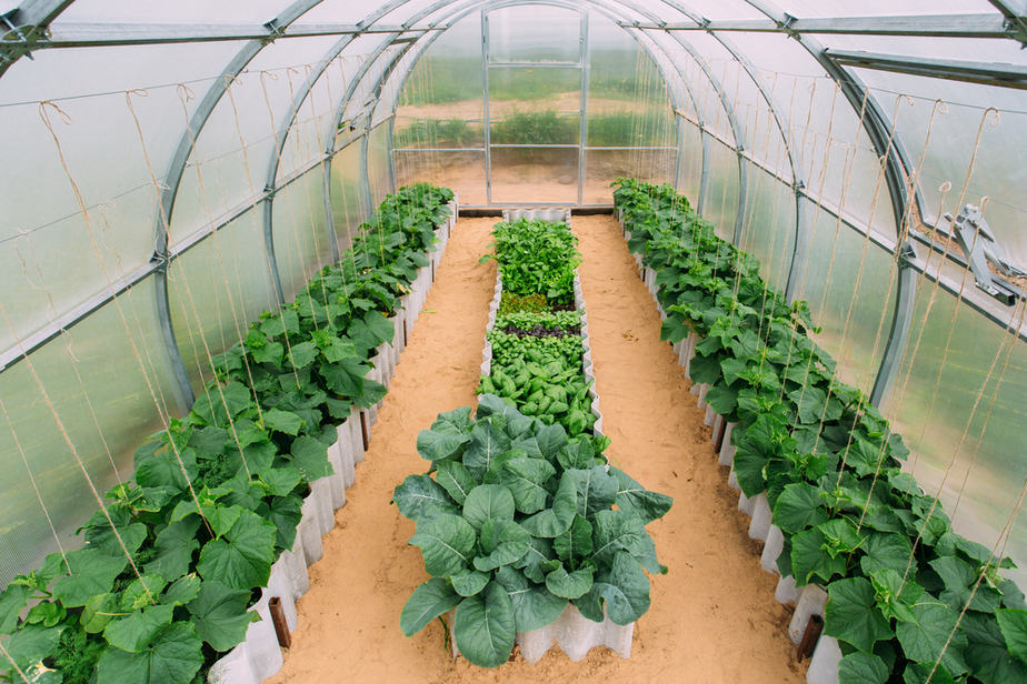 Small Greenhouse Ideas