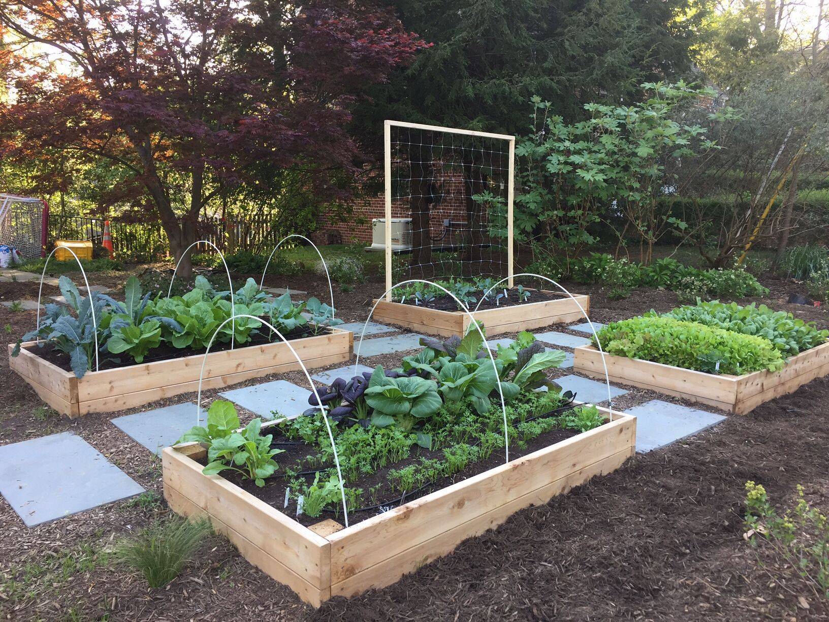 Front Lawn Vegetable Garden Design Shawna Coronado