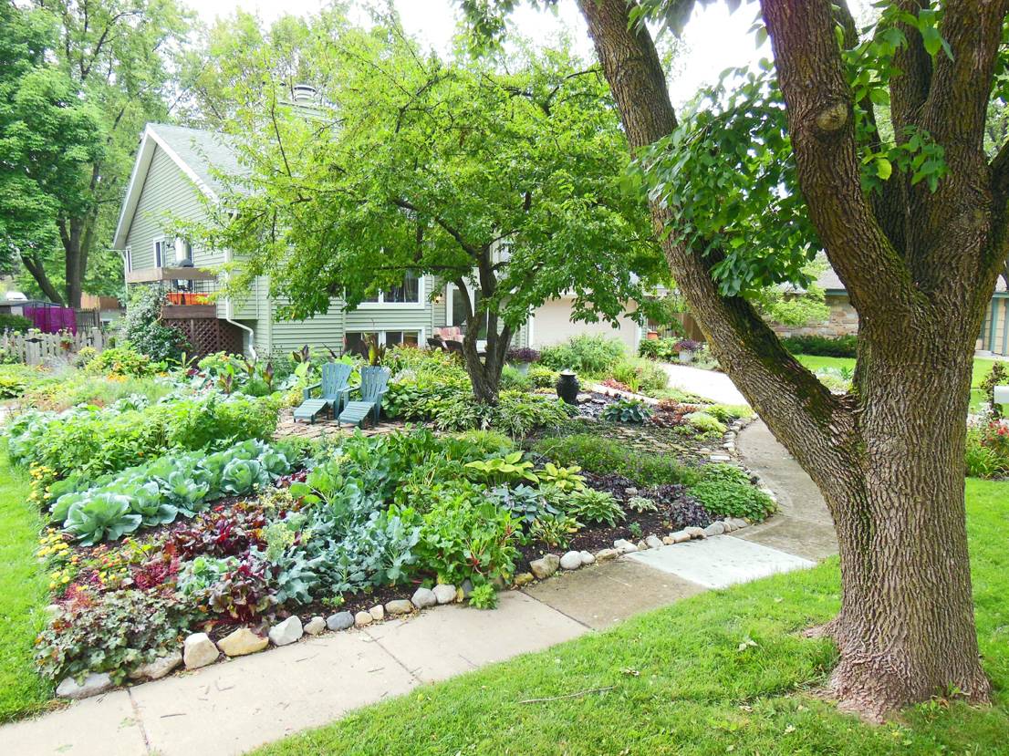 Front Yard Vegetable Gardens