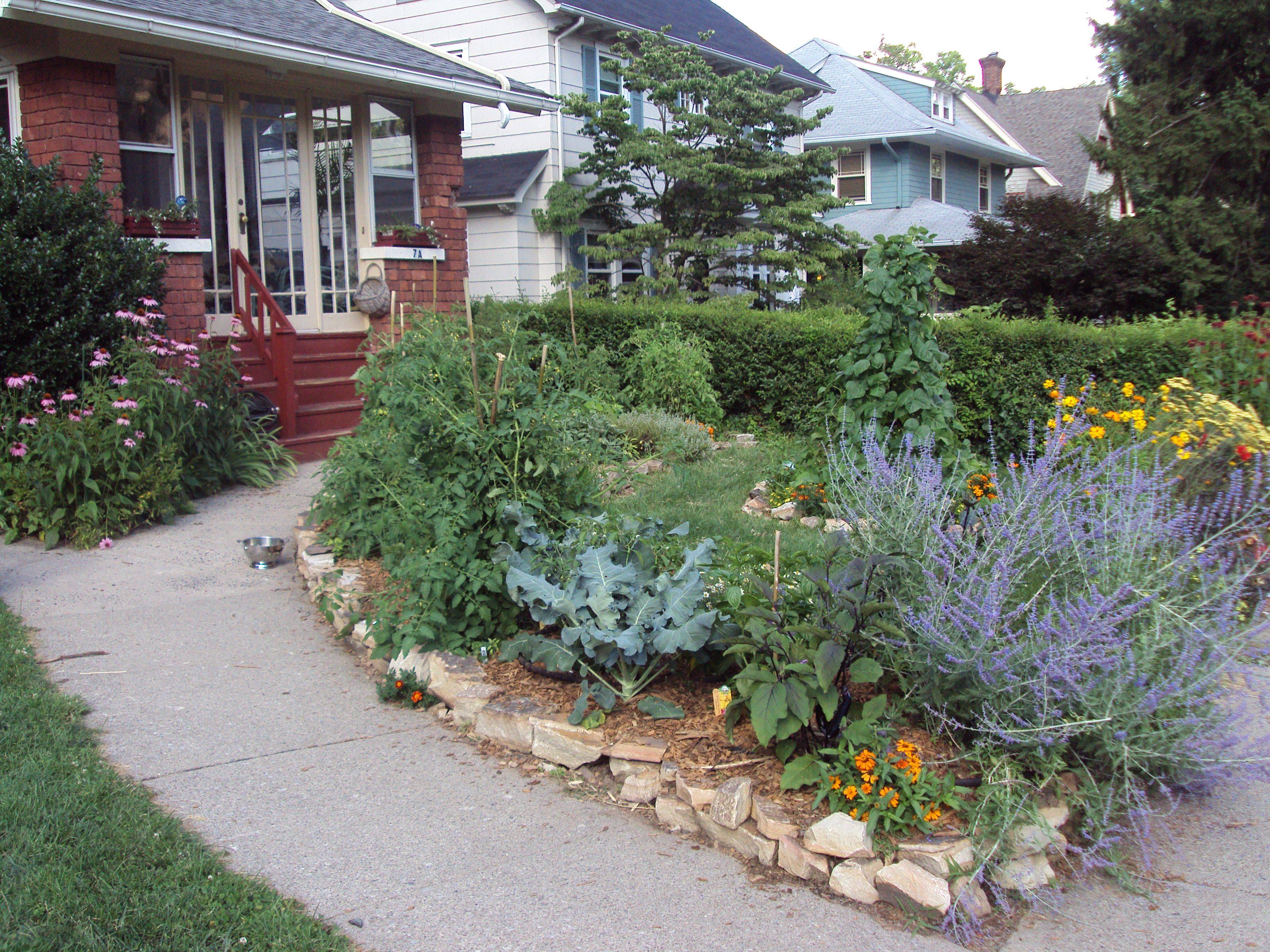 Landscape Patio Front Yard Concrete Garden Designs