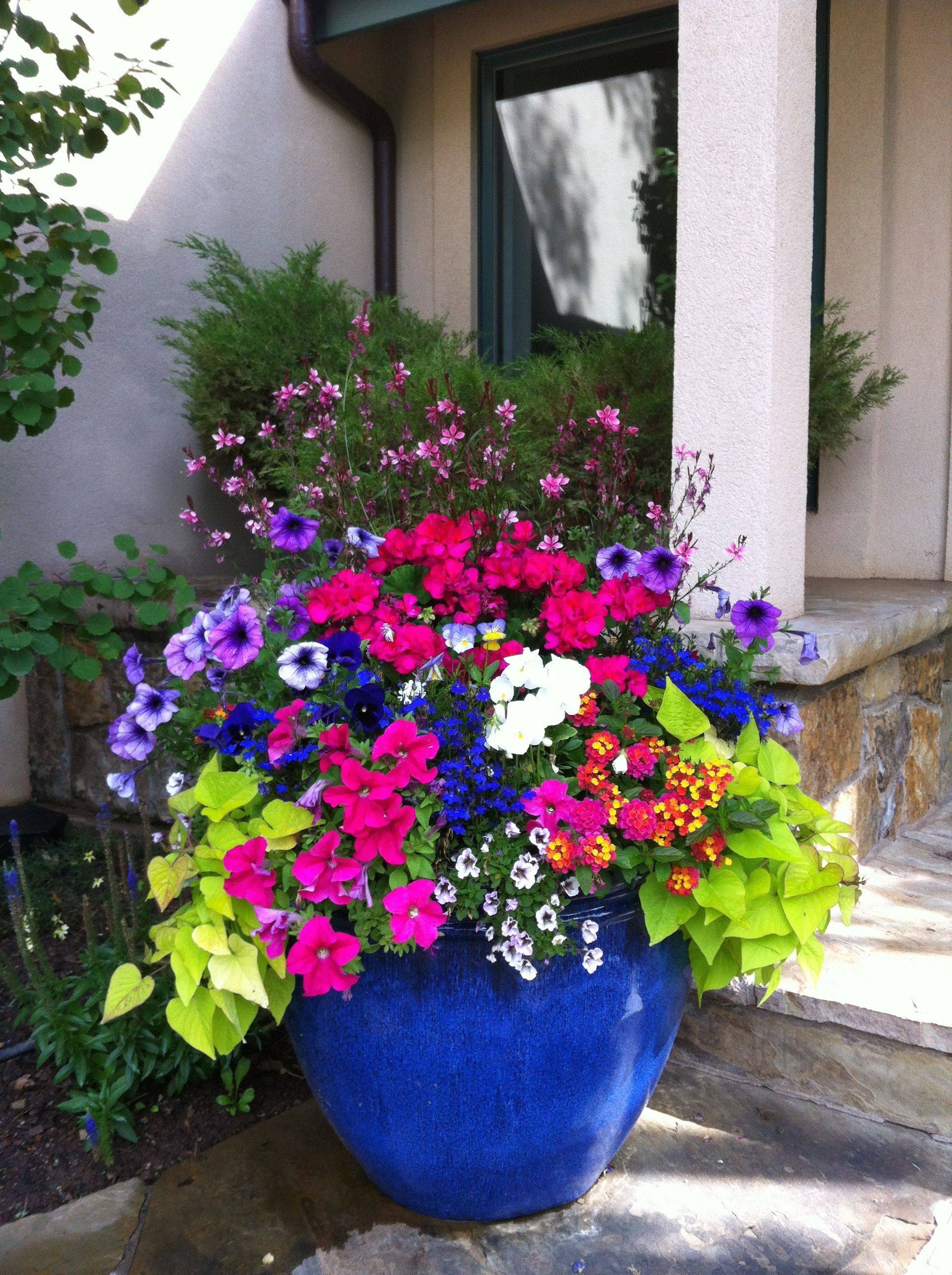 Pretty Container Gardens