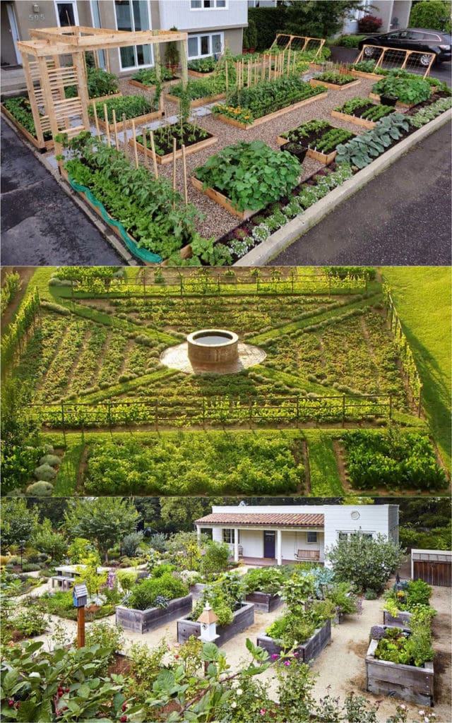 Small Vegetable Garden Layout