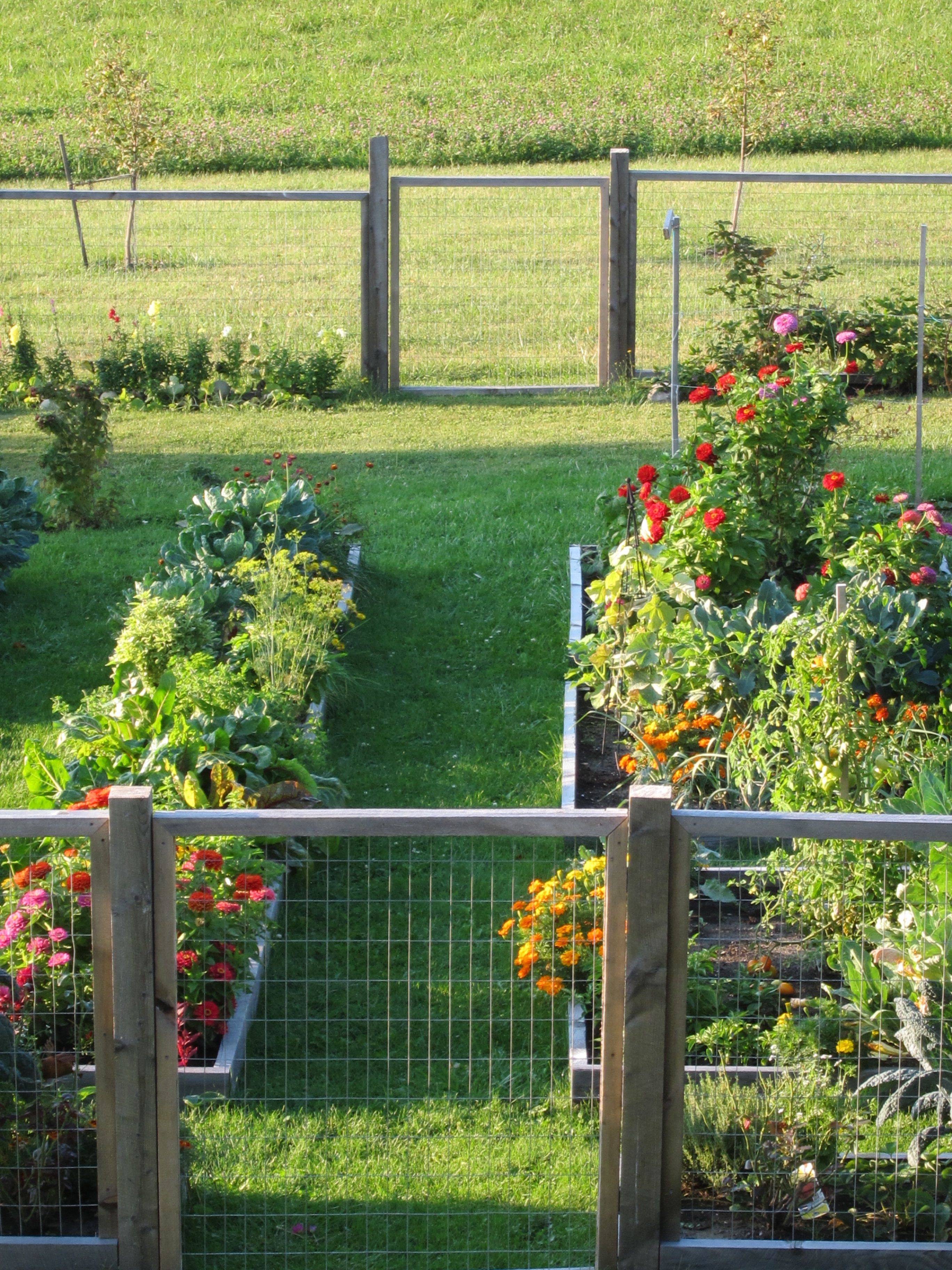 Beautiful Vegetable Gardens