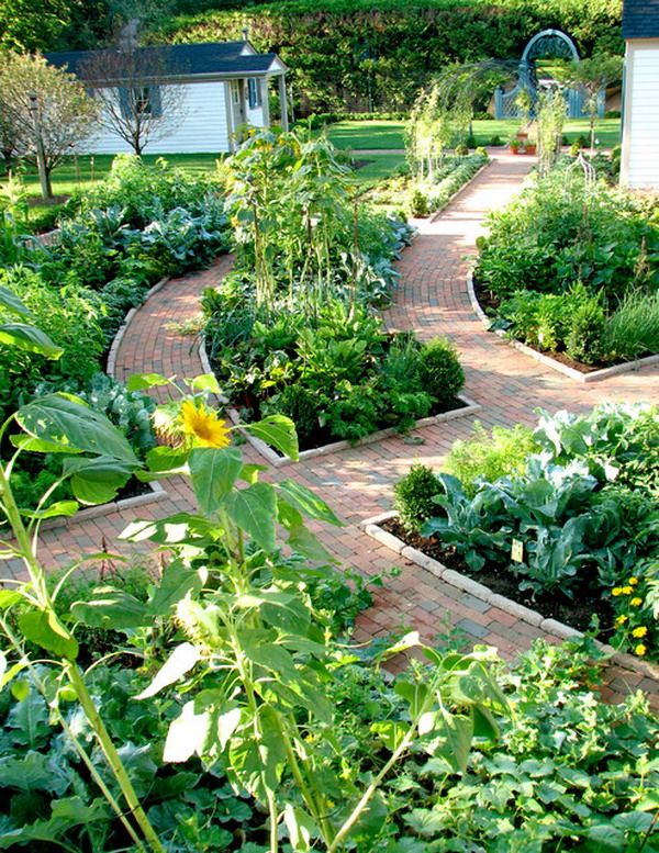 French Vegetable Garden
