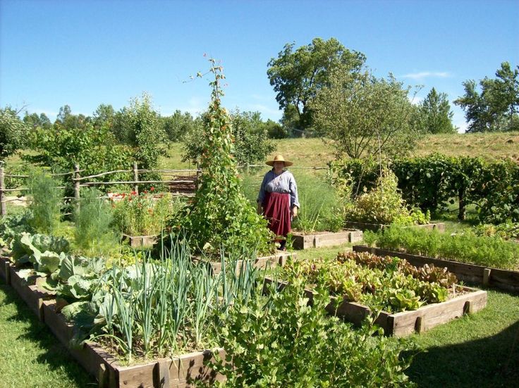 The Most Beautiful Vegetable Garden