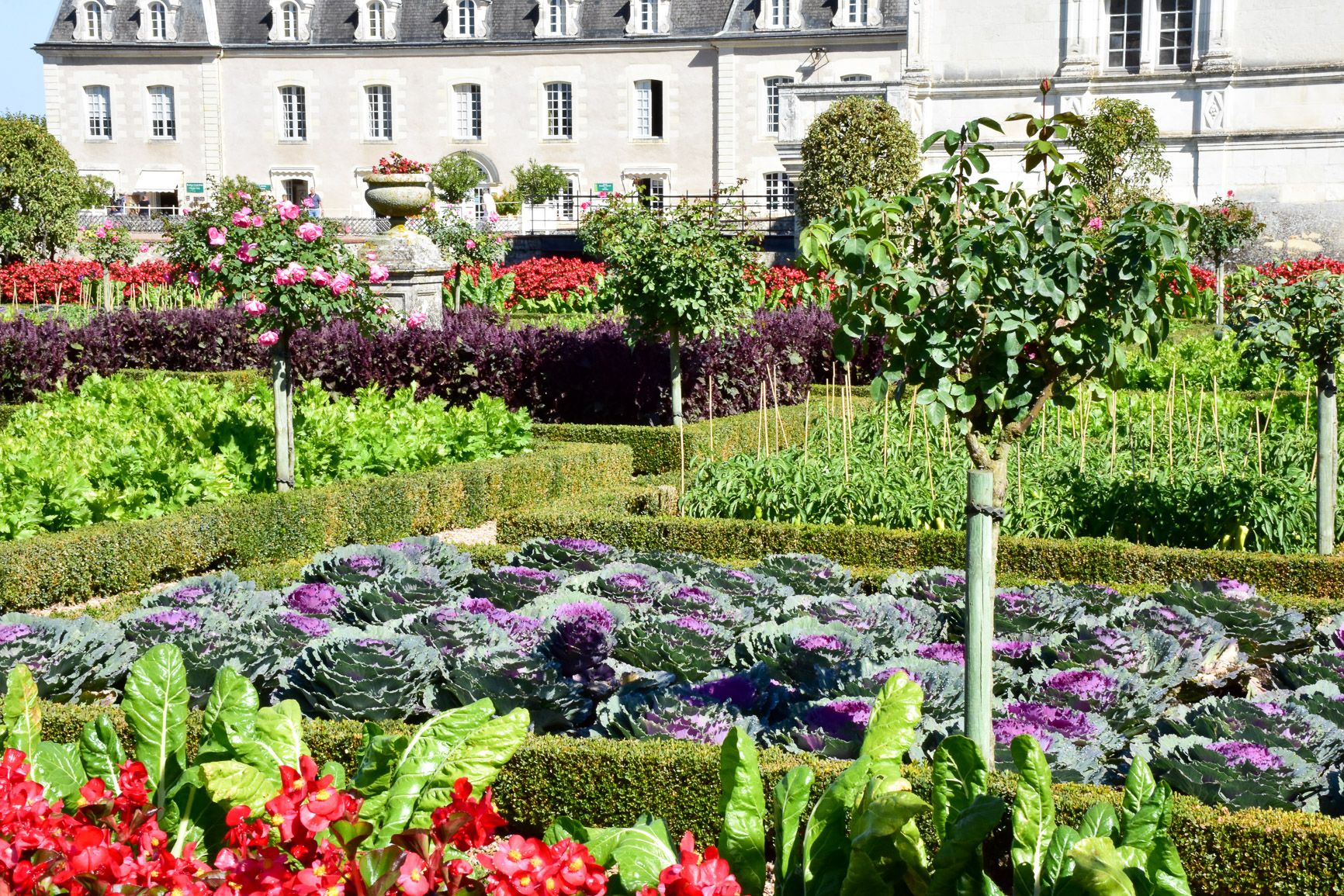 The French Kitchen Garden