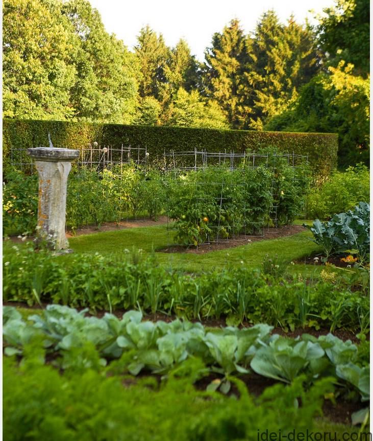 Vegetablegardenbeginner Potager Garden