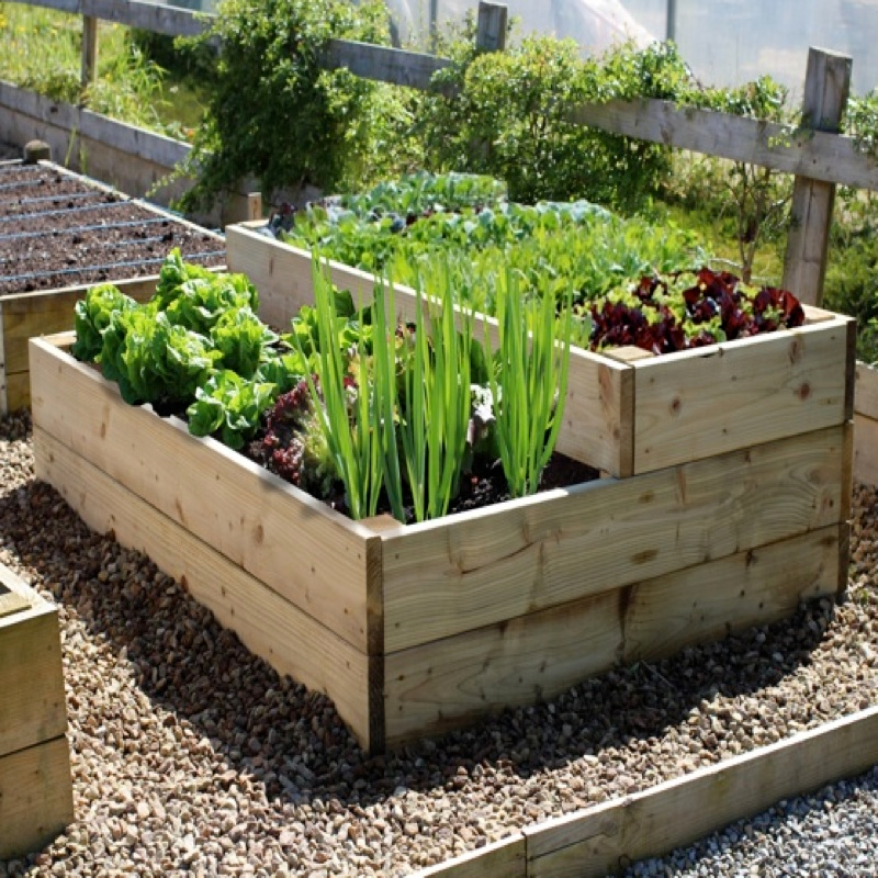 Stunning Vegetable Garden Design Ideas
