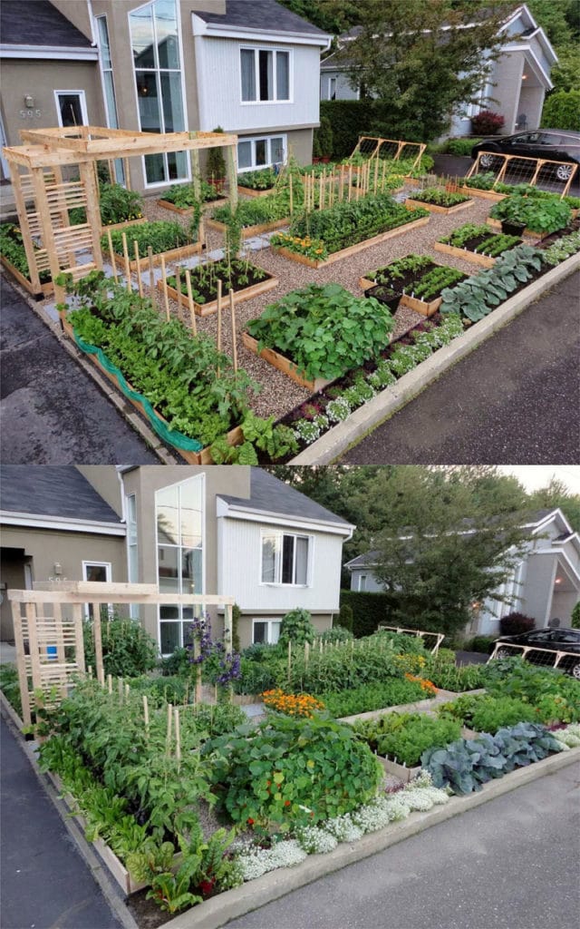 Easy Vegetable Garden Layout Ideas