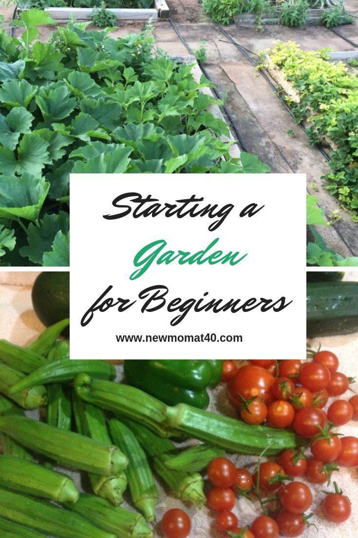 Growing Veggie Gardens