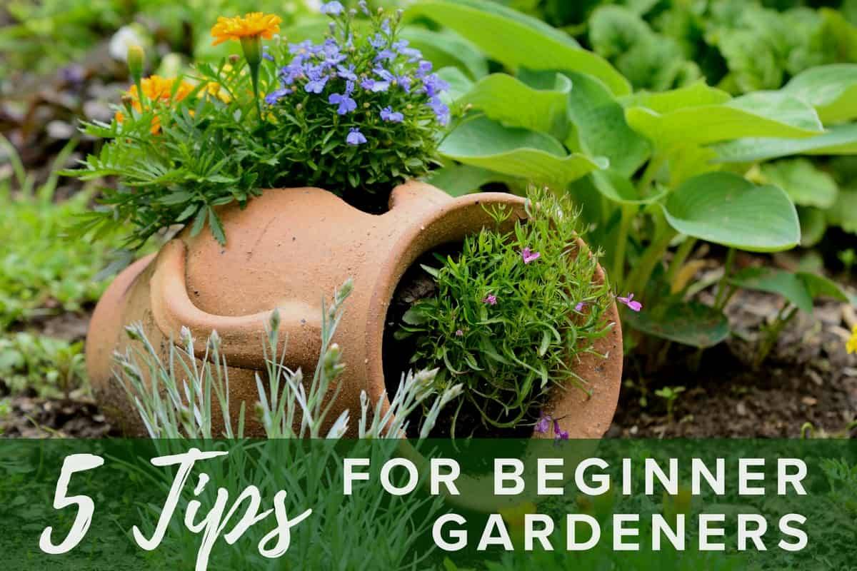 Organic Gardening