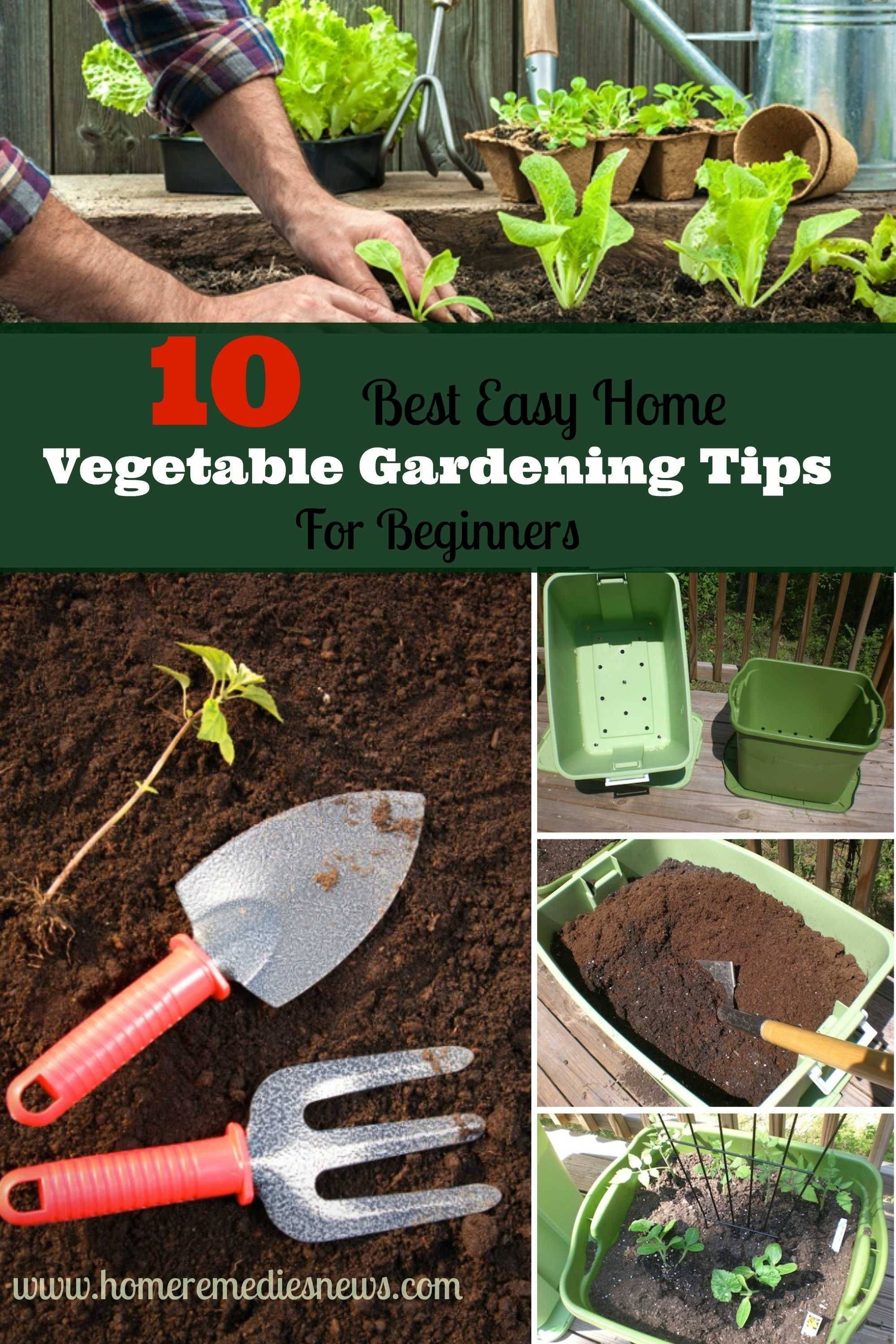 Productive Vegetable Gardening Tips