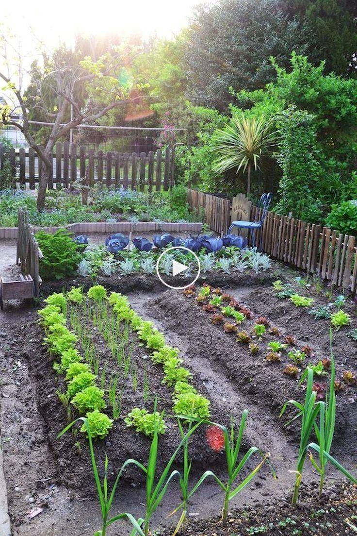 Raised Bed Vegetable Gardening For Beginners Rayagarden
