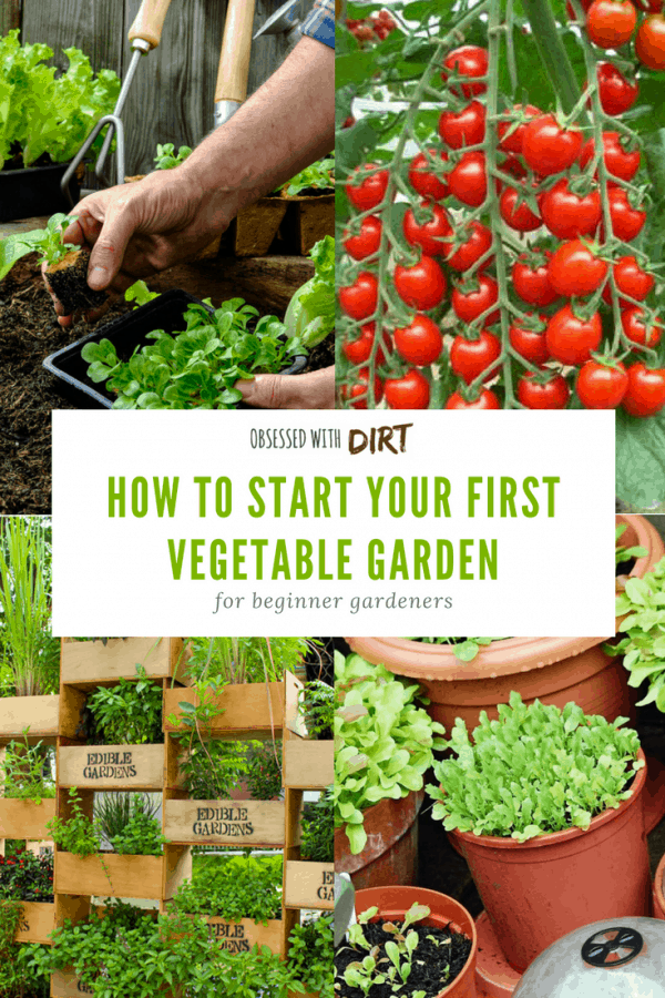 Beginners Acres Garden Center
